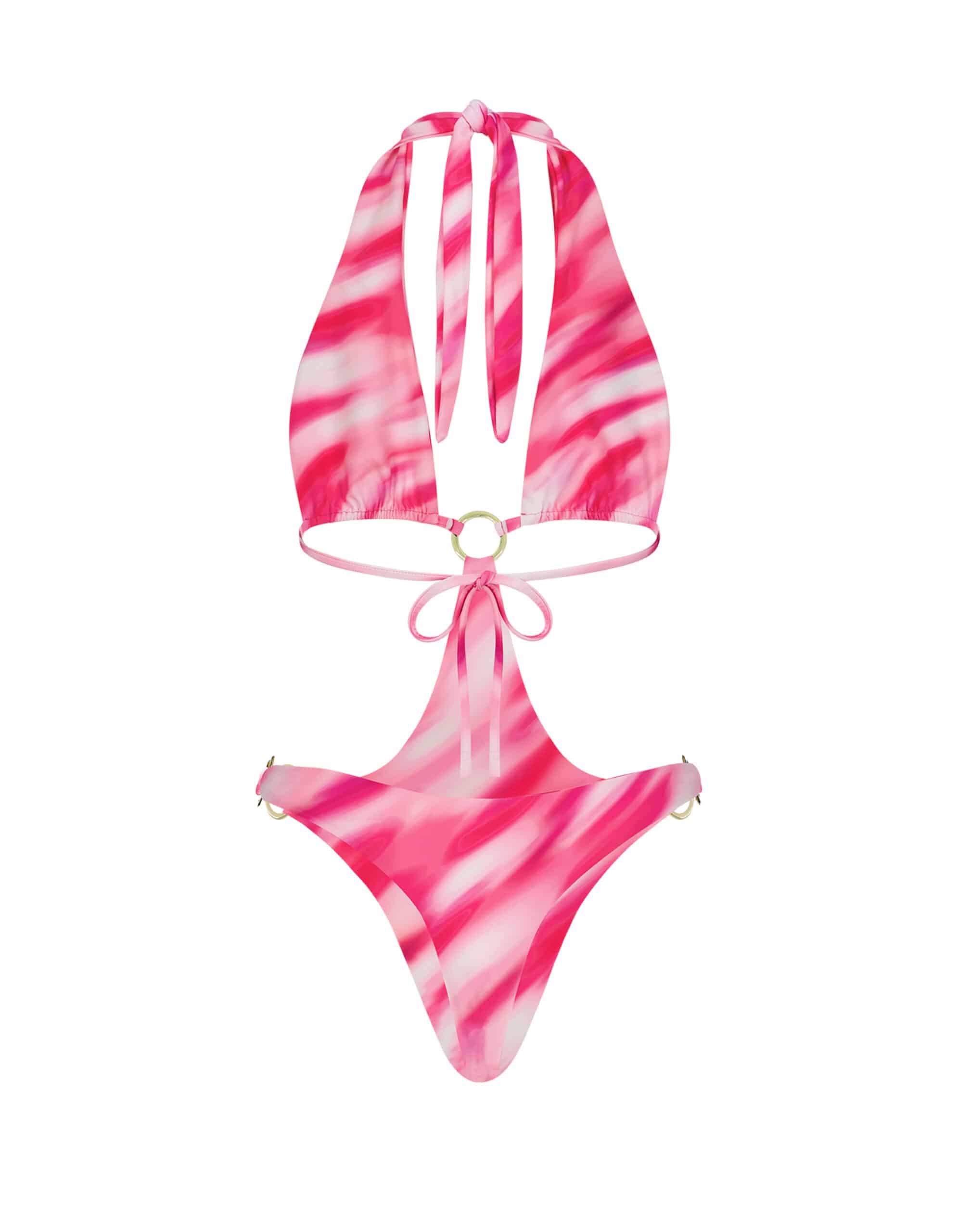 17043737822_charlotte_2